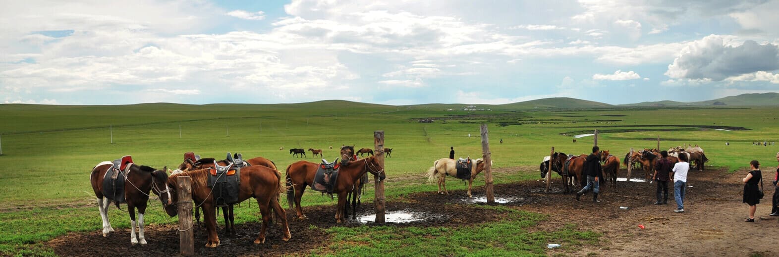 蒙古國、貝加爾湖、堪察加半島、庫頁島21日之旅
